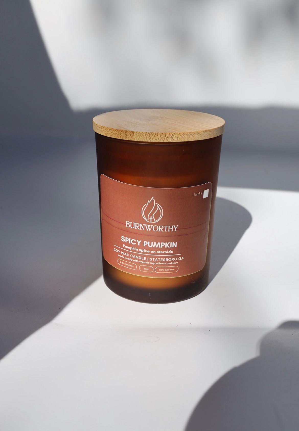 Spicy Pumpkin | Non-toxic 100% Soy Wax Candle | Handmade Fall Scent