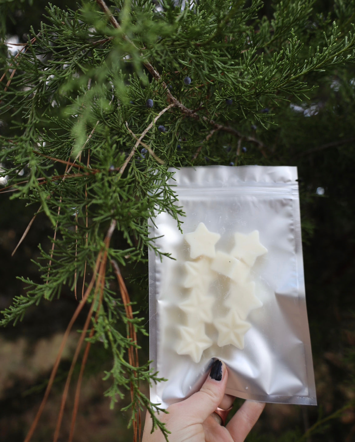 NEW Gratitude 5Star Wax Melts | Clean-burning Wax Melts