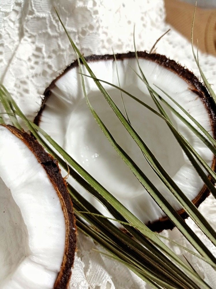 Caribbean Coconut