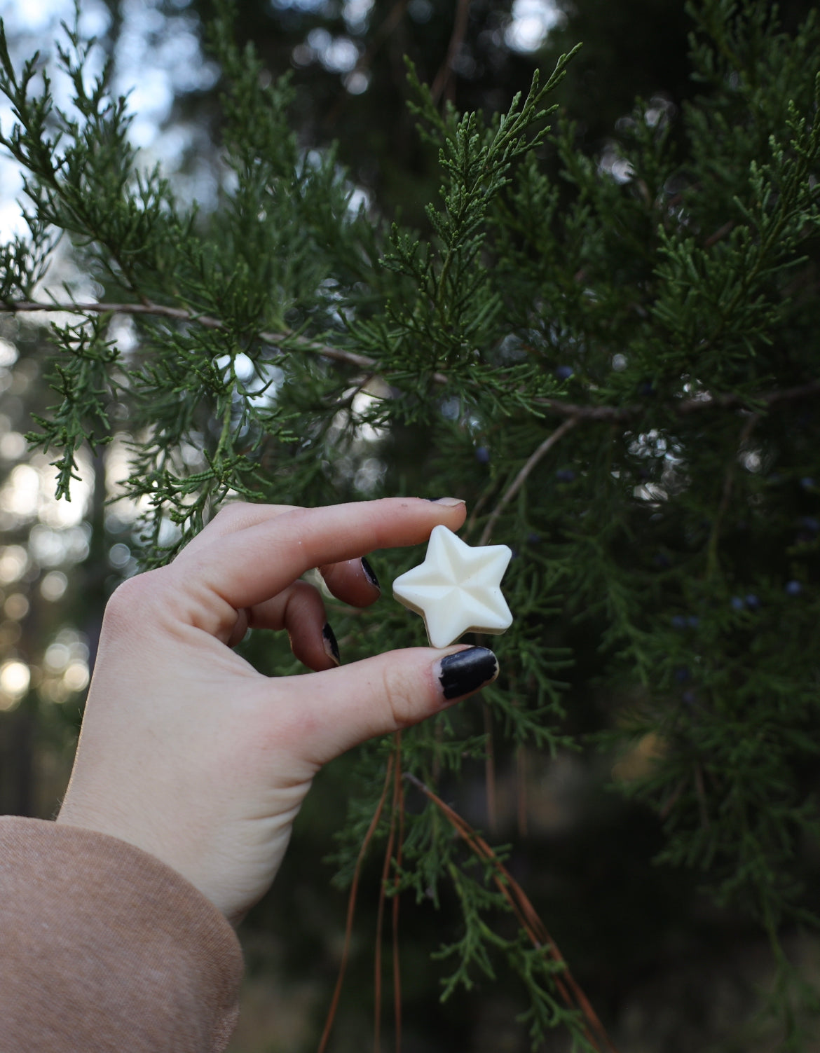 NEW Gratitude 5Star Wax Melts | Clean-burning Wax Melts