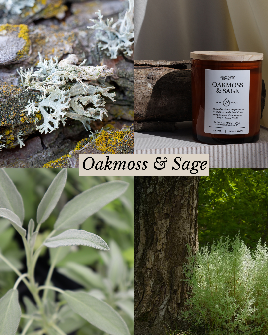 Oakmoss & Sage 12oz Candle