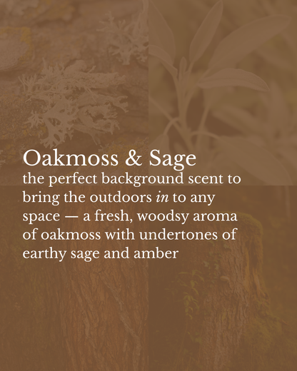 Oakmoss & Sage 12oz Candle