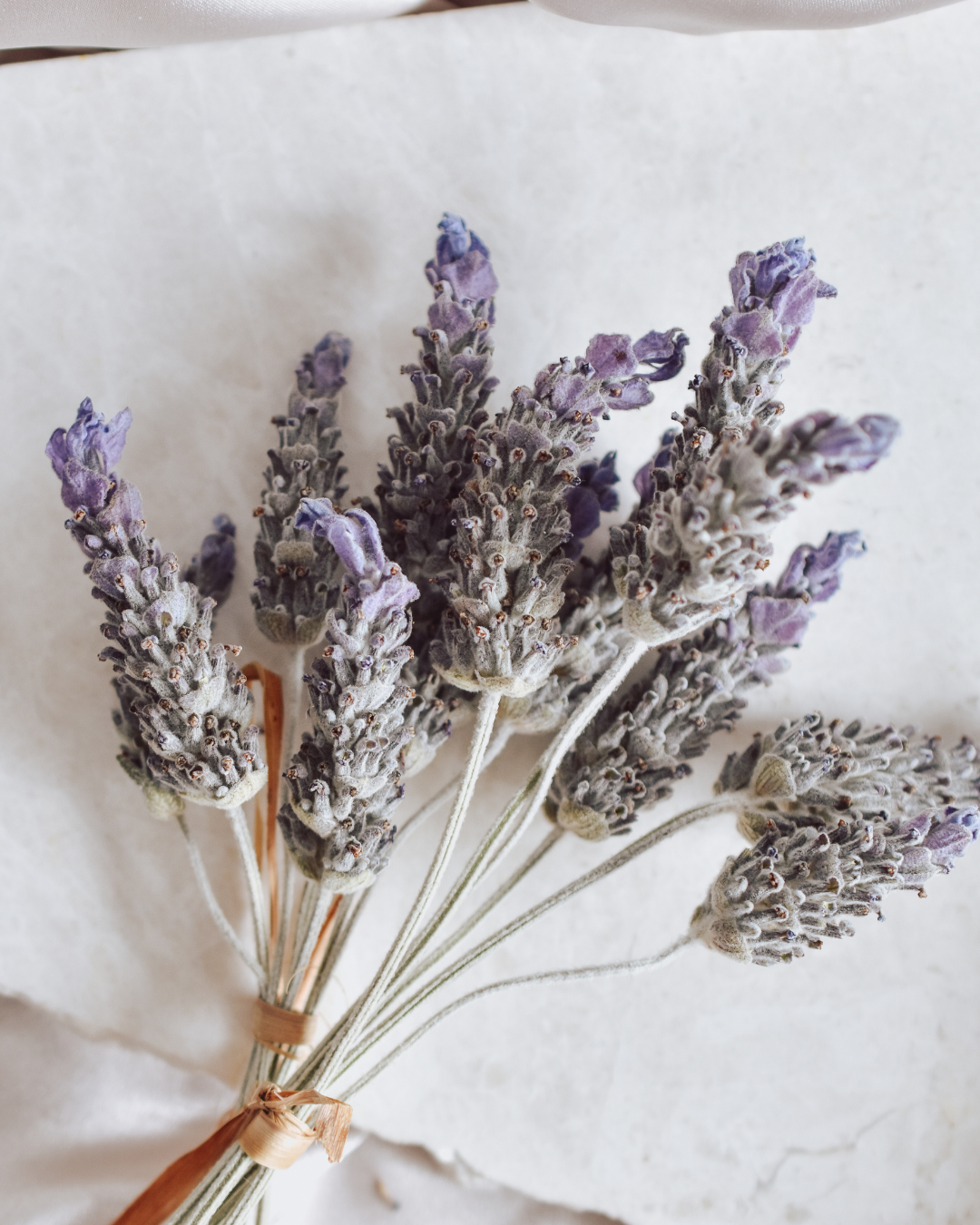 Lavender Creme 12oz Candle