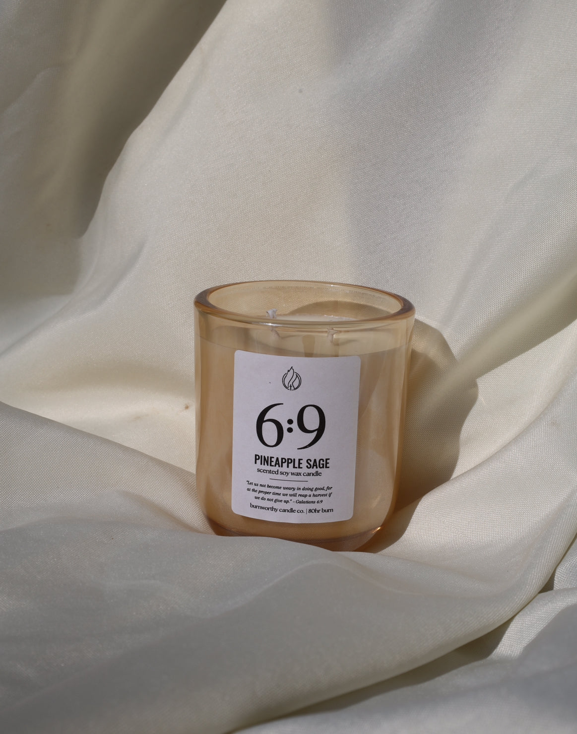 Pineapple Sage | Galatians 6:9 Soy Wax Candle