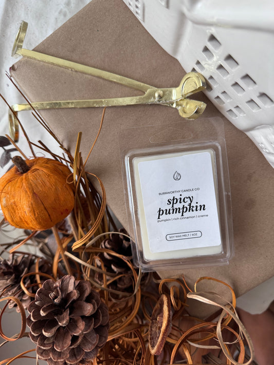 Spicy Pumpkin | Non-toxic 100% Soy Wax Melt | Handmade Fall Scent